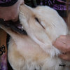 It’s Hard For Me To Say I’m Sorry