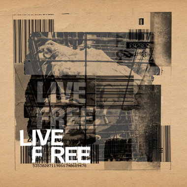 Live Free feat. Scott Crouse, Karl Buechner, Craig G & Chuck D main photo