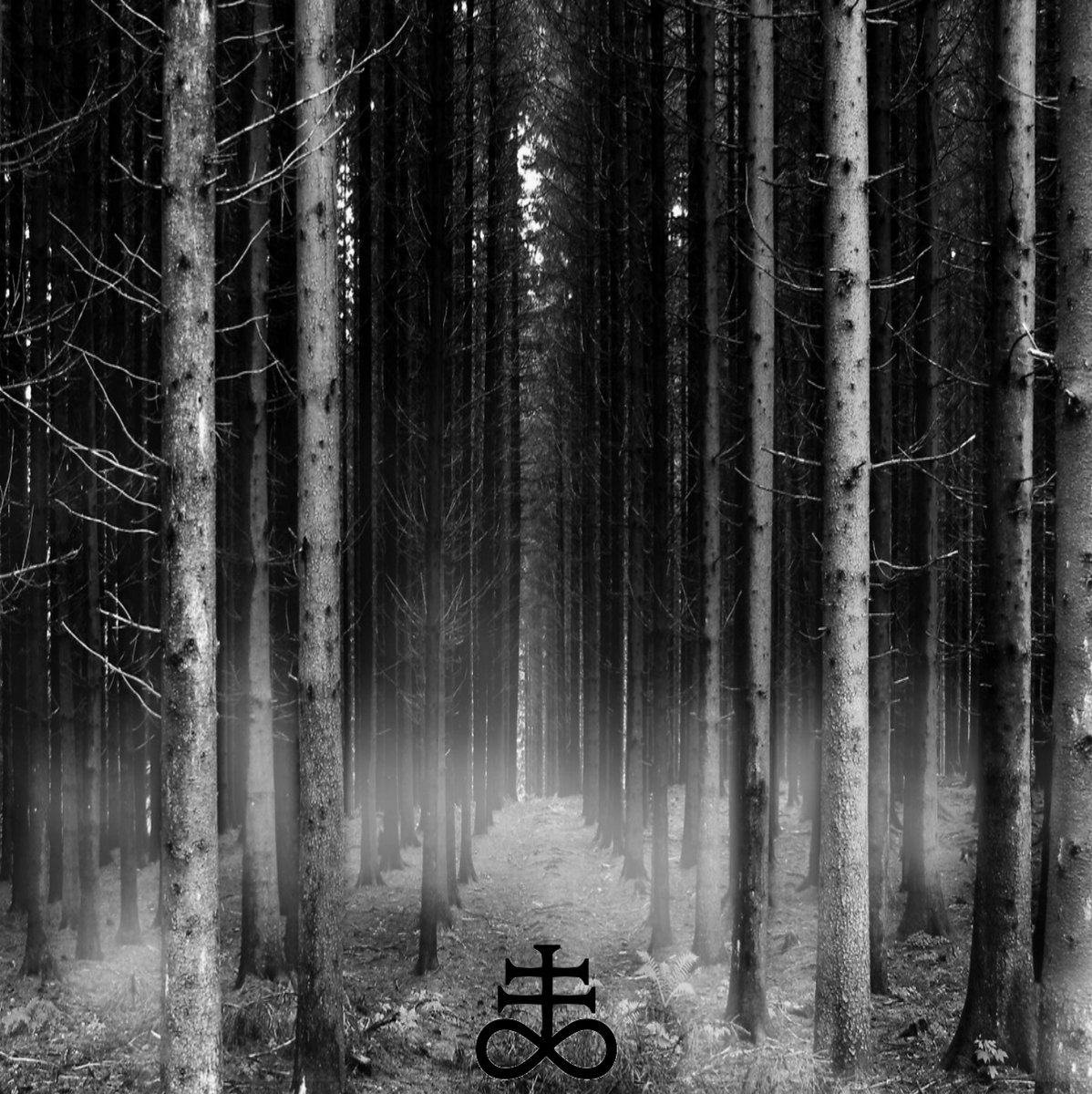 Blvck Ceiling Wvfflife Drvgged