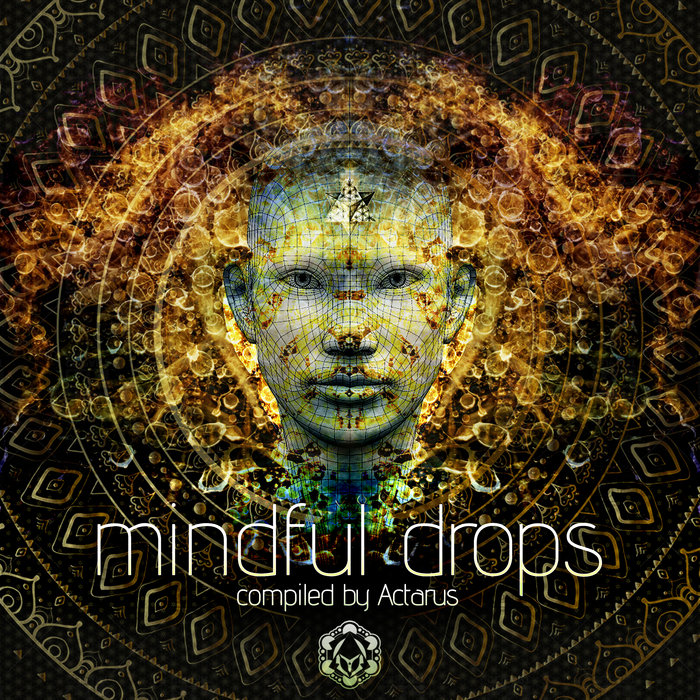 Mindful Drops | Various Artists | Maharetta Records