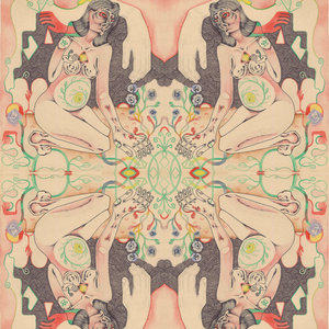orchid milk cover