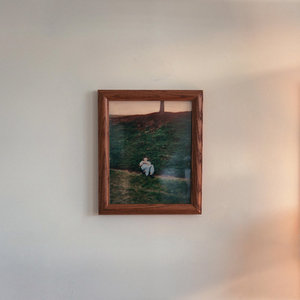Lucy Dacus — No Thank You, I Love You, Goodbye