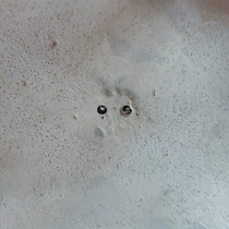 Artificial Heart cover art