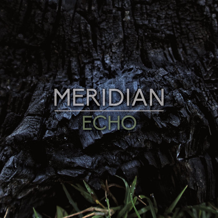 Cassette Echo, by Meridian