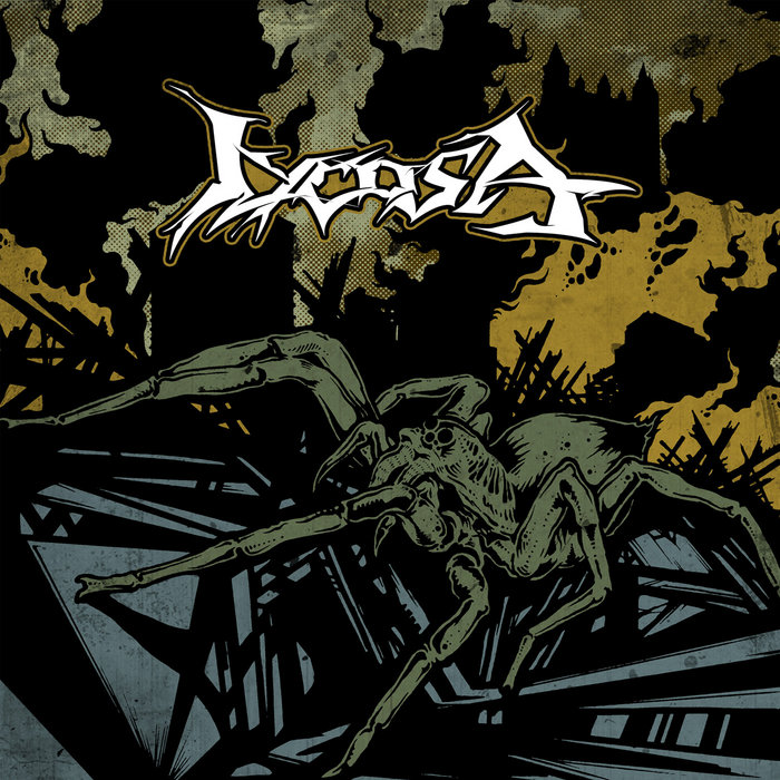 Lycosa — Photo