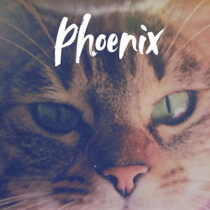 Phoenix cover