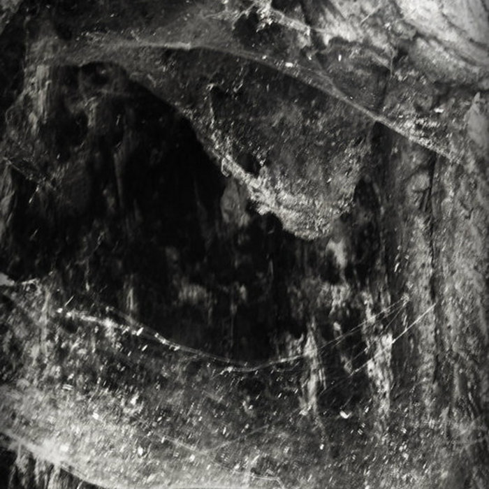 abyssal novit enim dominus qui sunt eius
