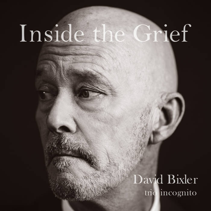 Inside the Grief
von David Bixler