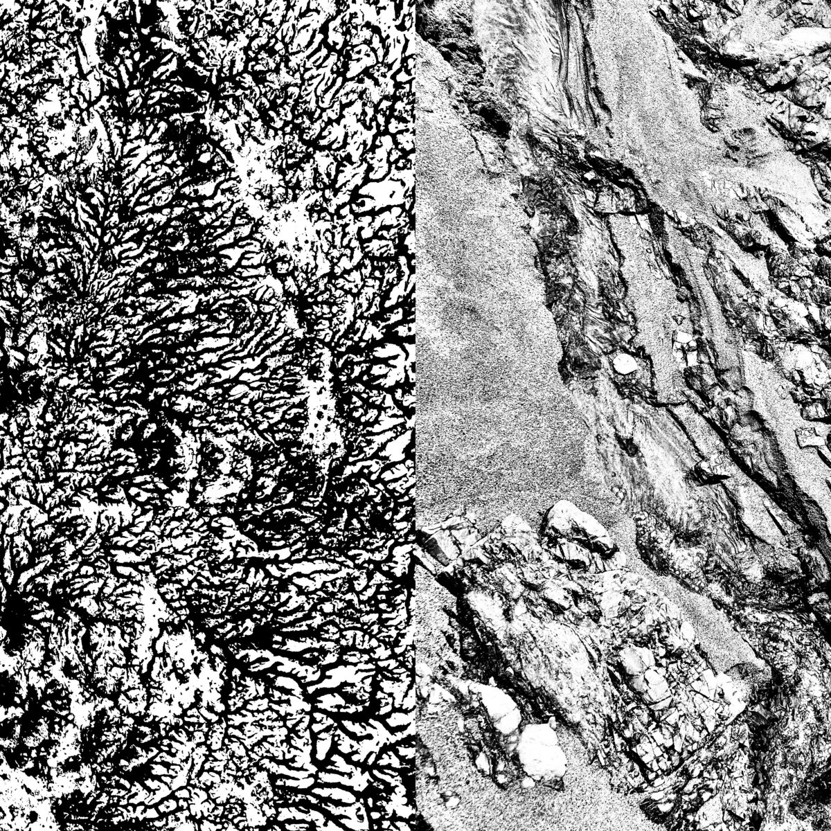 ELECTRIC ANIMAL MIASMATIC SERVITOR