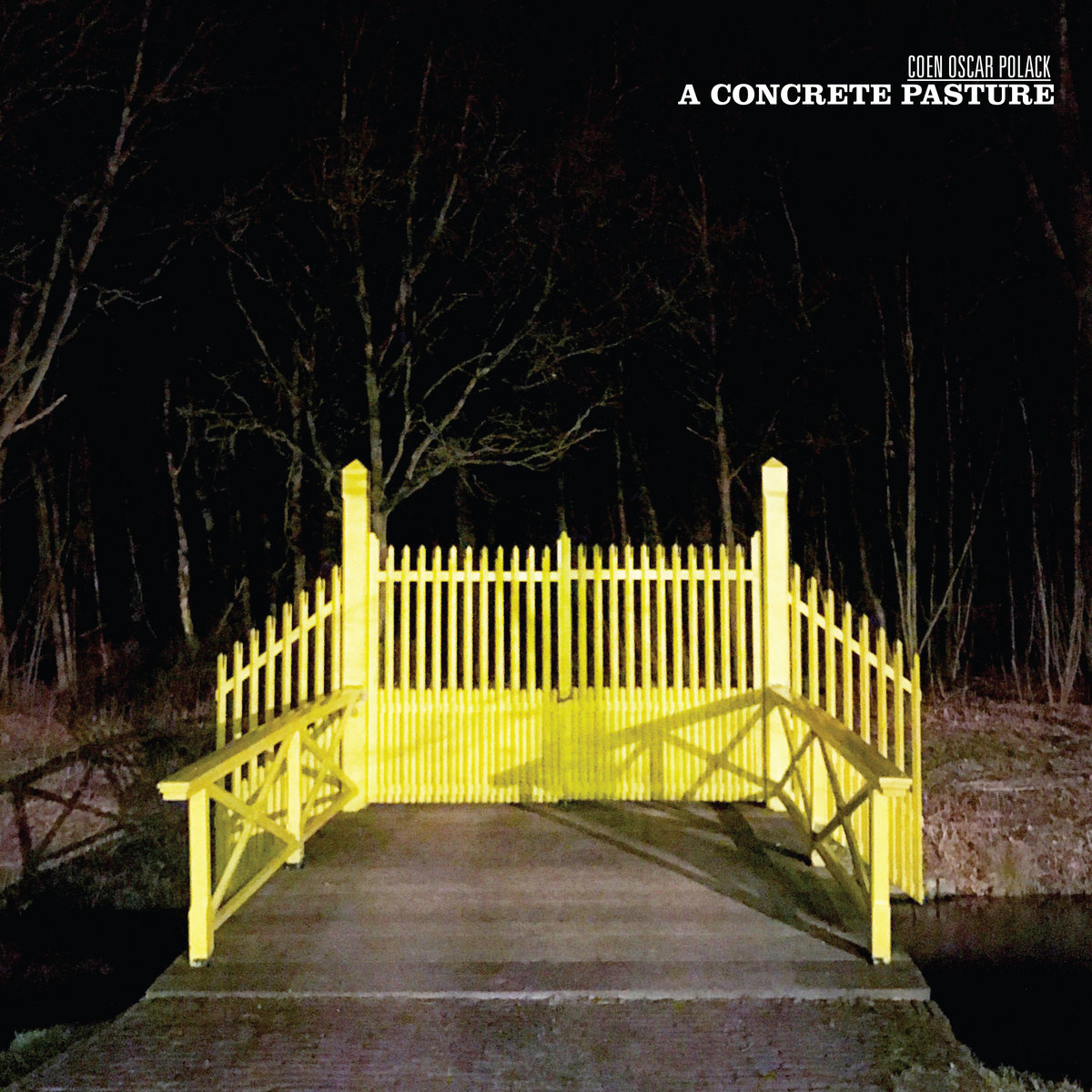 A Concrete Pasture | Coen Oscar Polack | Moving Furniture Records