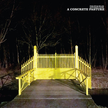 A Concrete Pasture main photo