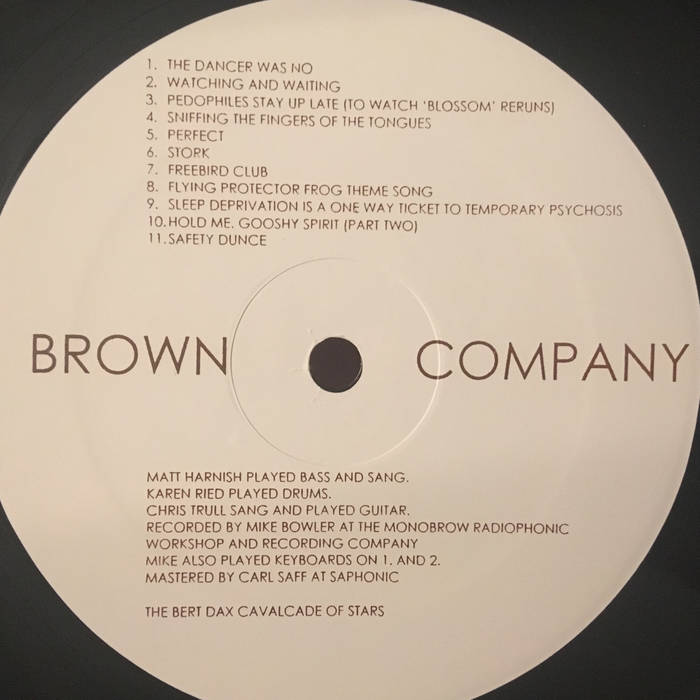 Flying Protector Frog Theme Song | Brown Company | The Bert Dax 