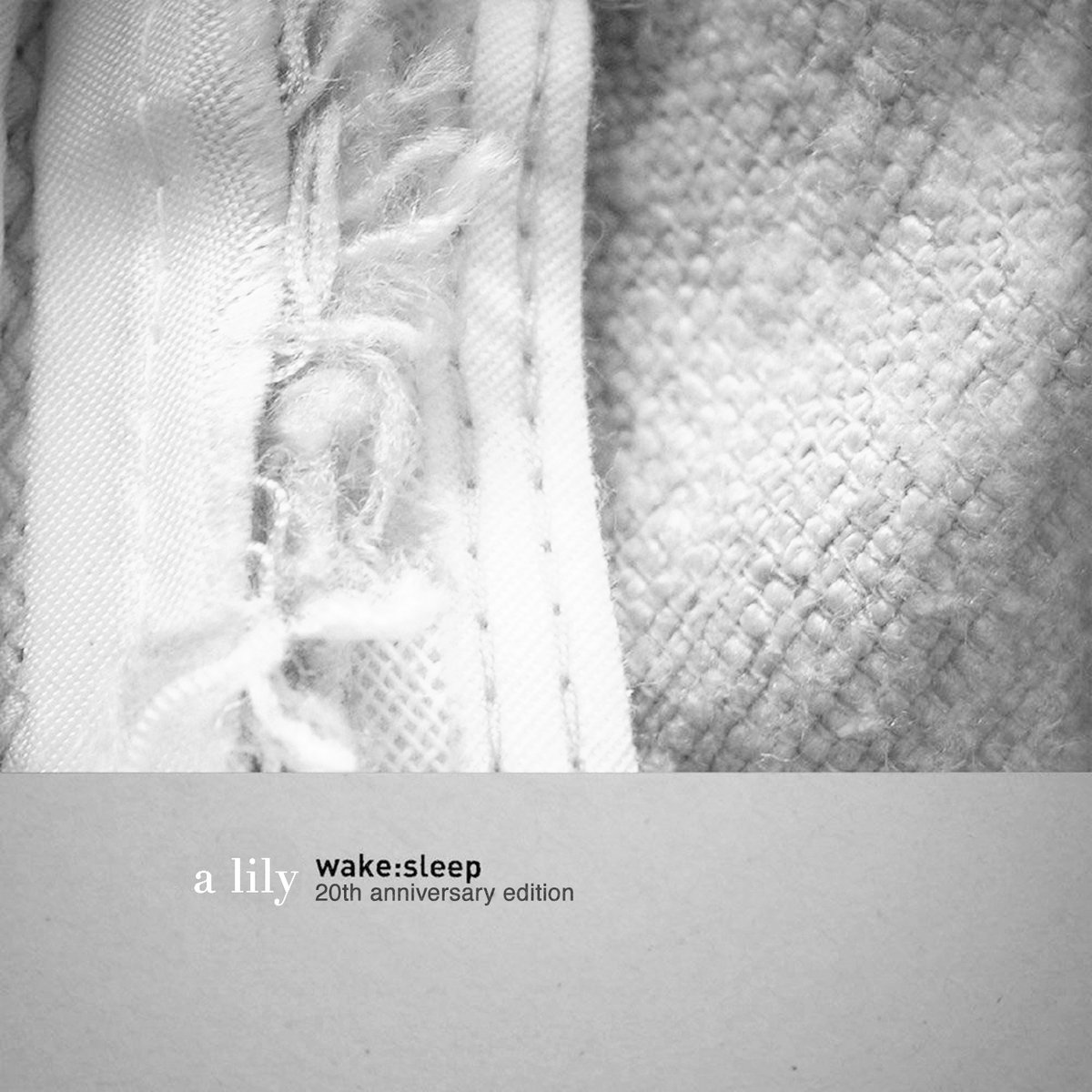 Lights Shone Brighter. My Delicate Sun is my Sparklin' Sun | A Lily
