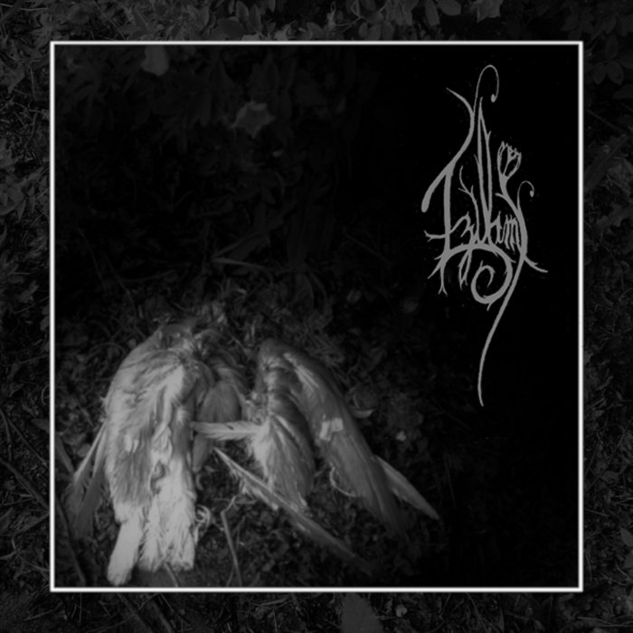 To Traipse Up at Jay Moore blog