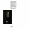 Window Frame Lisergin