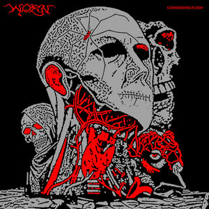 CONDENSING FLESH cover