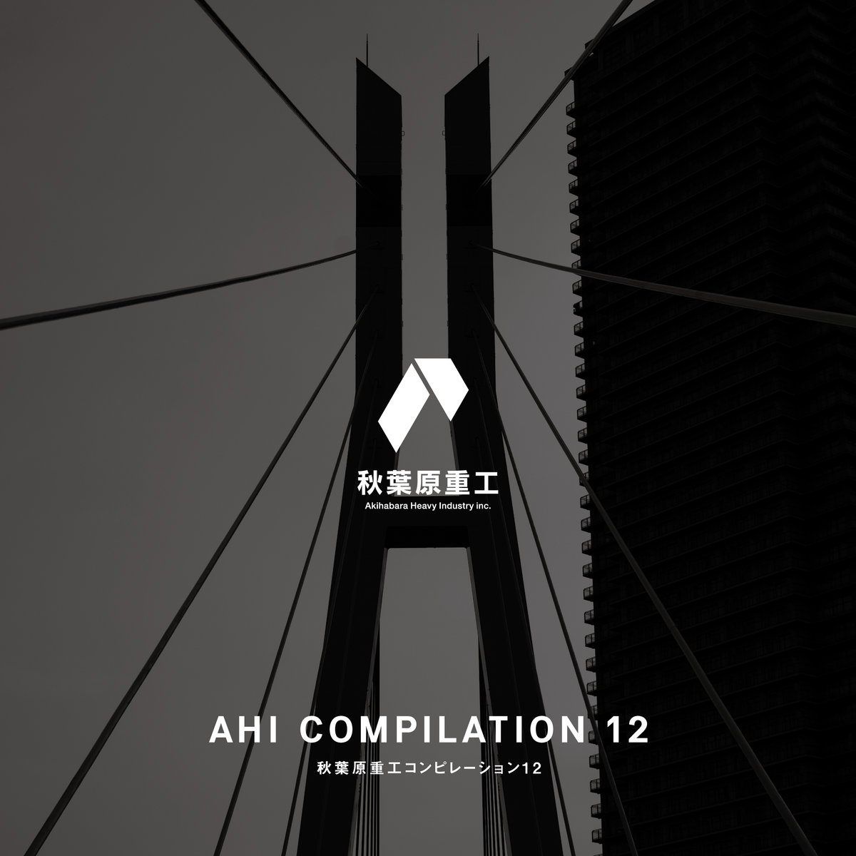 AHI COMPILATION 12 | Various Artists | Akihabara Heavy