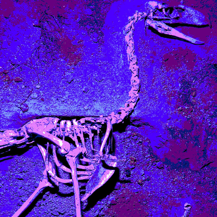 Phorusrhacidae | Paleobiota
