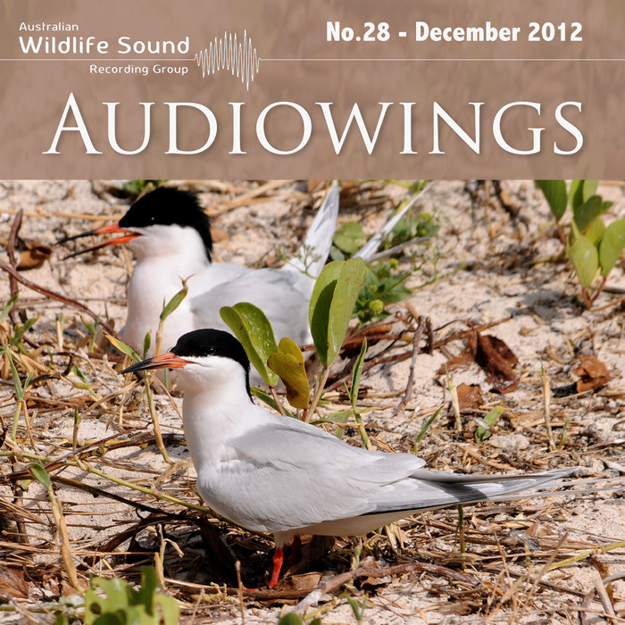 Commentary (VP) Australian Wildlife Sound Recording Group
