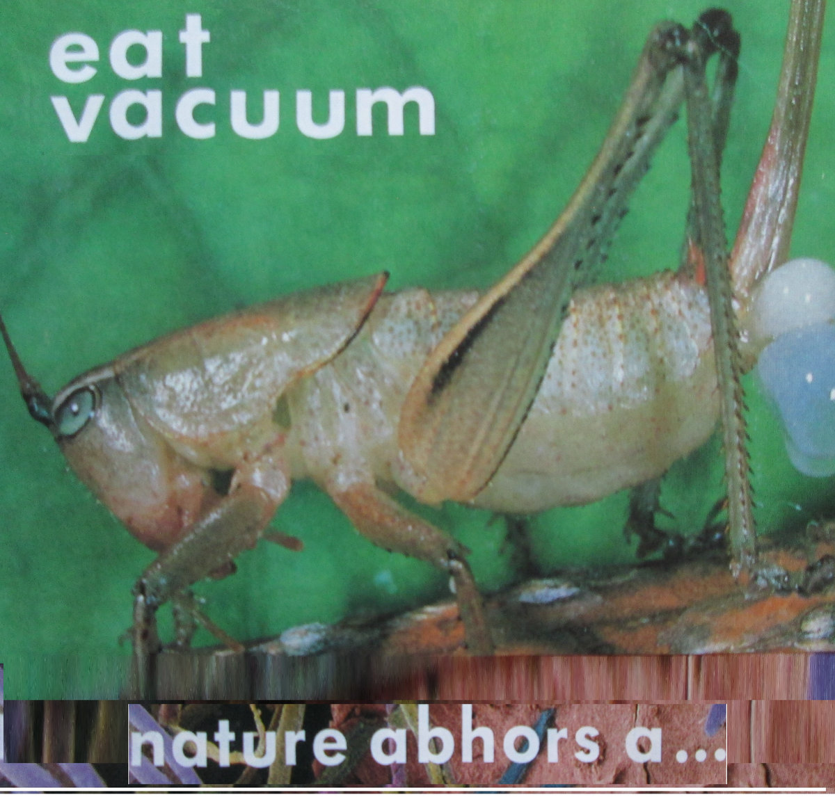 Nature Abhors a Vacuum Eat Vacuum