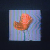 WINDMILL - VHS MOSAIC (2021)