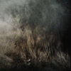Come Wander Through the Pale Dark