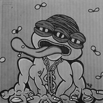 What Are Frogs? Stems cover art