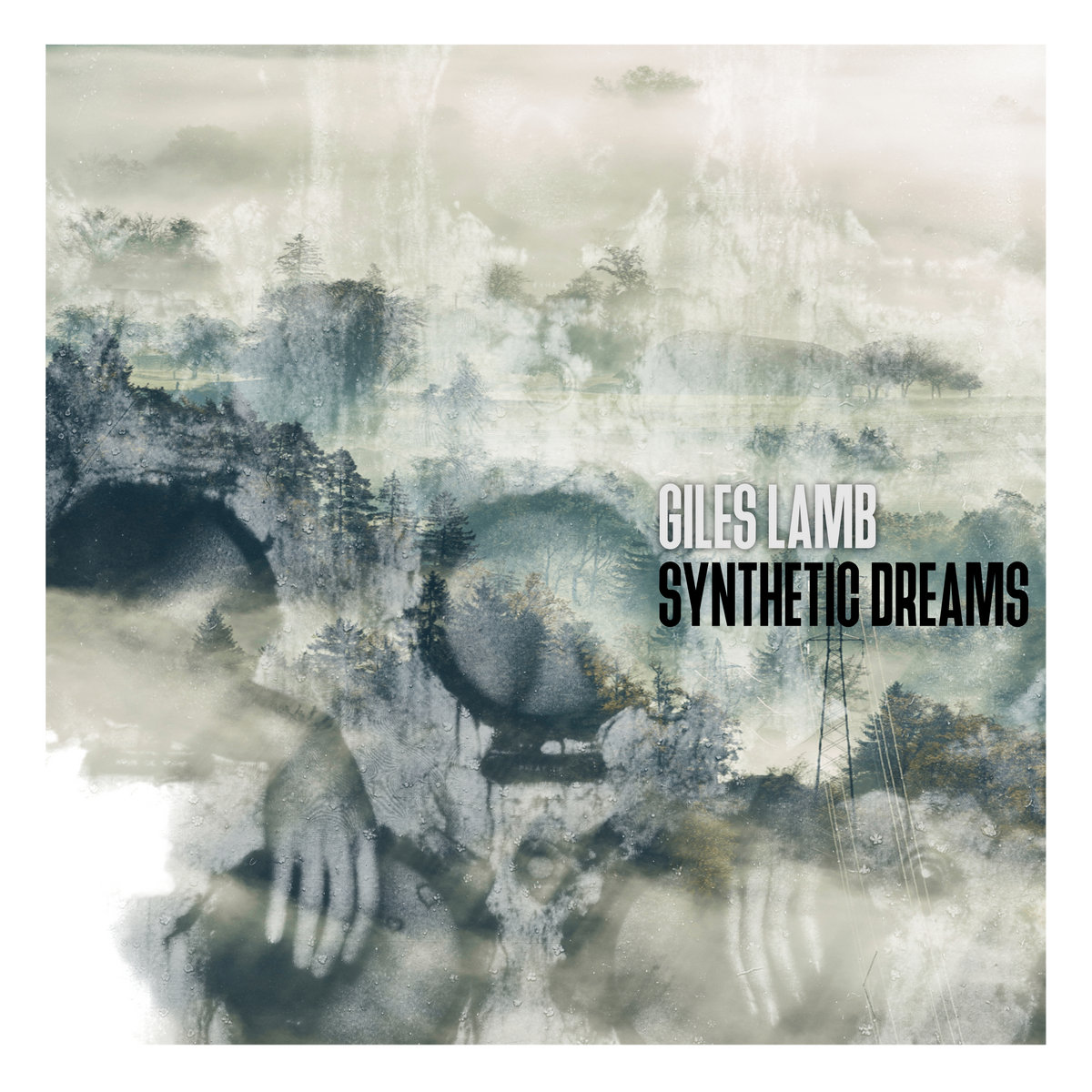 Synthetic Dreams