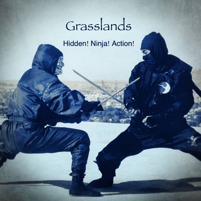 Hidden! Ninja! Action! (Continuous Mix) | Grasslands