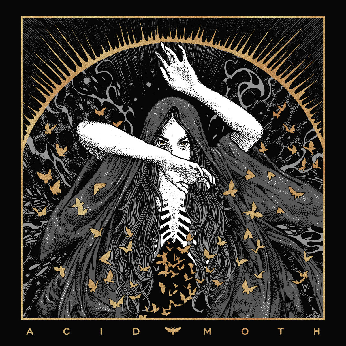 Acid Moth | Acid Moth