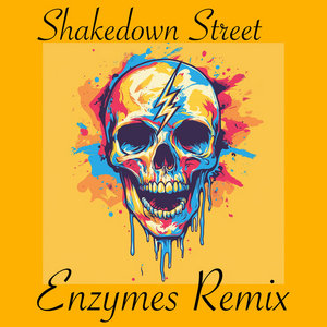 Grateful Dead Shakedown Street (Enzymes Remix) cover