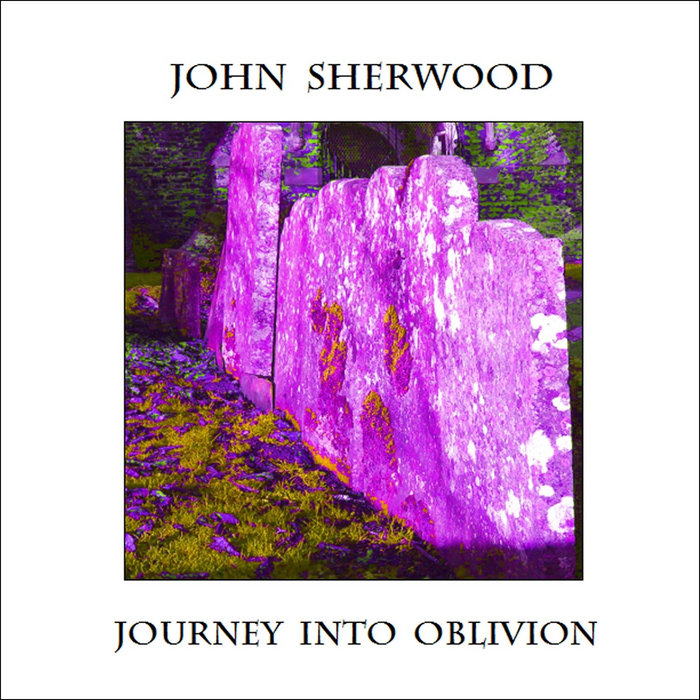 Journey into Oblivion John Sherwood