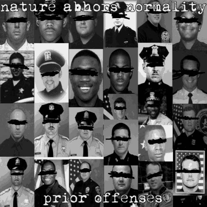 Prior Offenses Nature Abhors Normality Florida Noise Ordinance