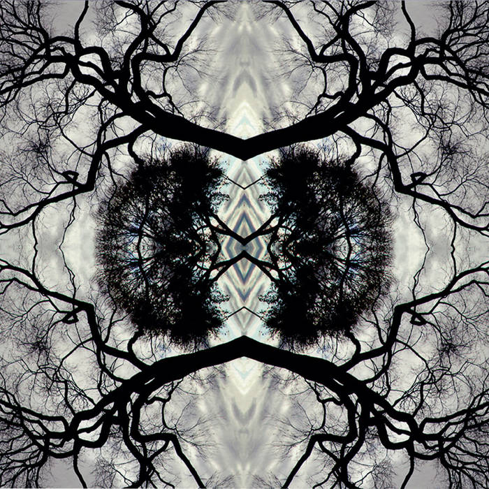 Sonic Mandala | Go: Organic Orchestra