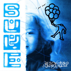 bluesure cover