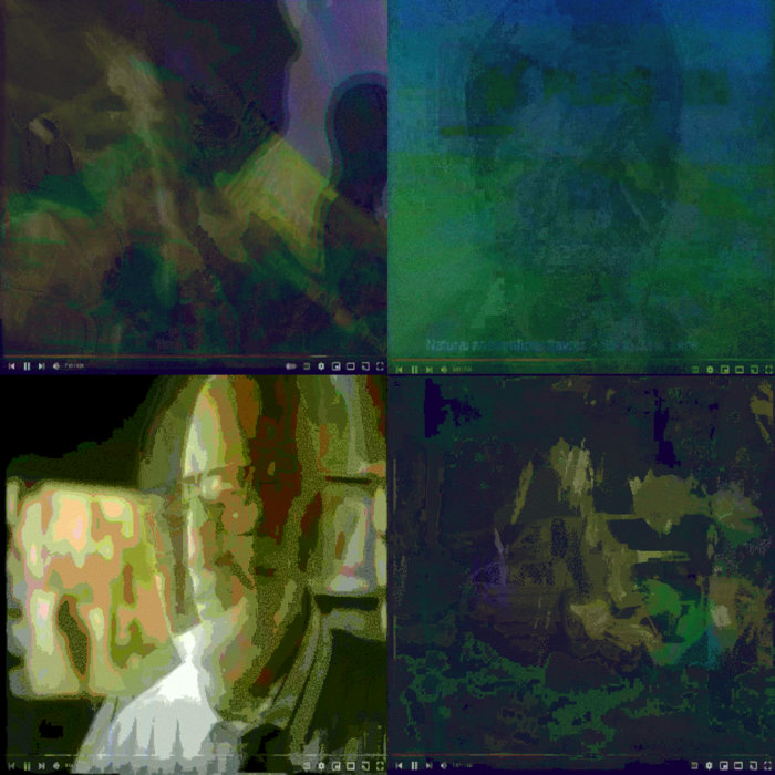 Interpose Screen reinterpolated screen recordings | interpolation wiring | swine