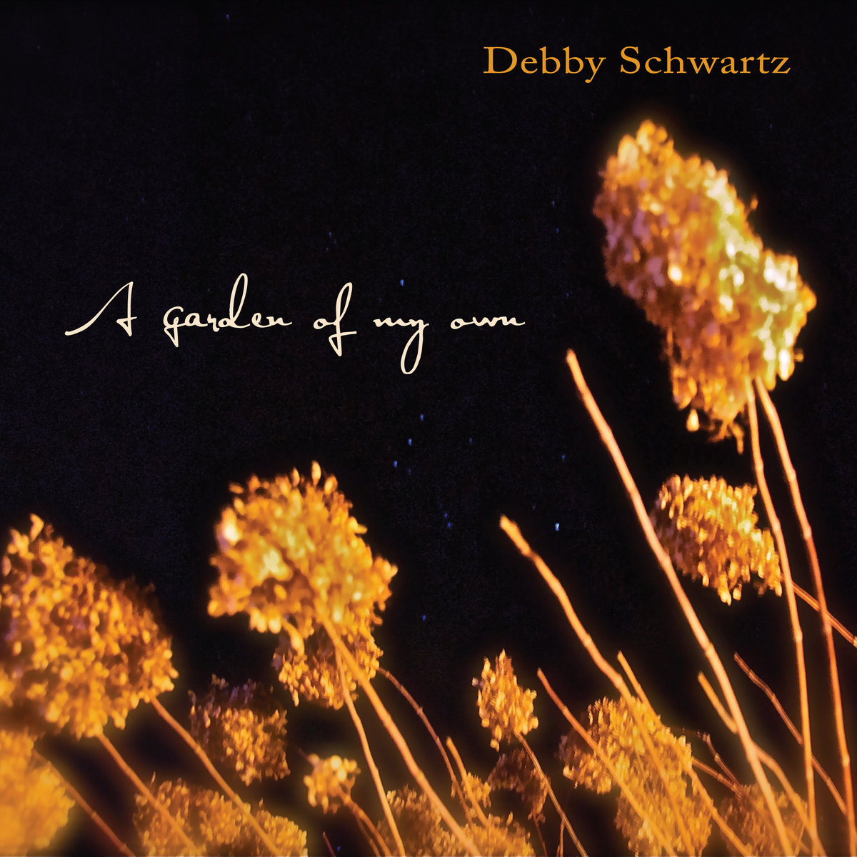 A Garden of My Own | Debby Schwartz | Twin Lakes Records