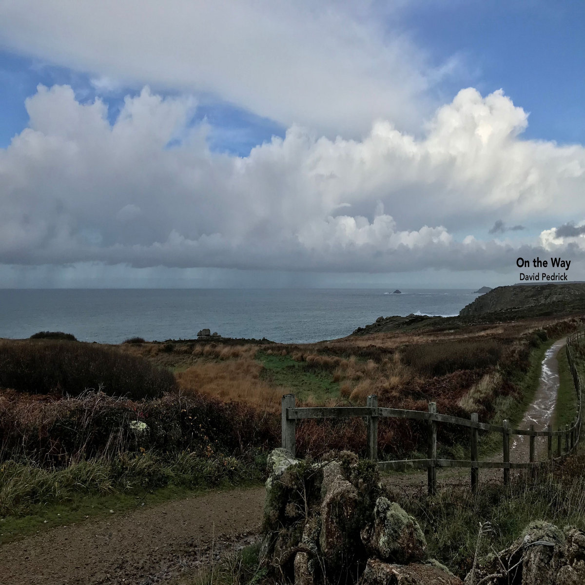 Alman David Pedrick david pedrick bandcamp