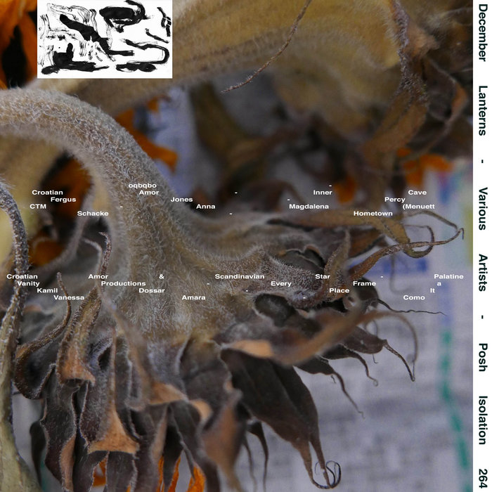 December Lanterns | Various Artists | Posh Isolation