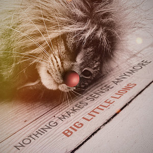 Nothing Makes Sense Anymore cover