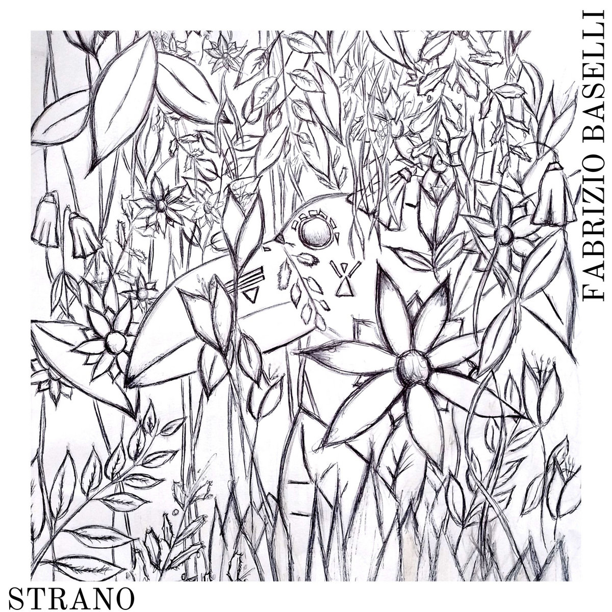 strano-fabrizio-baselli