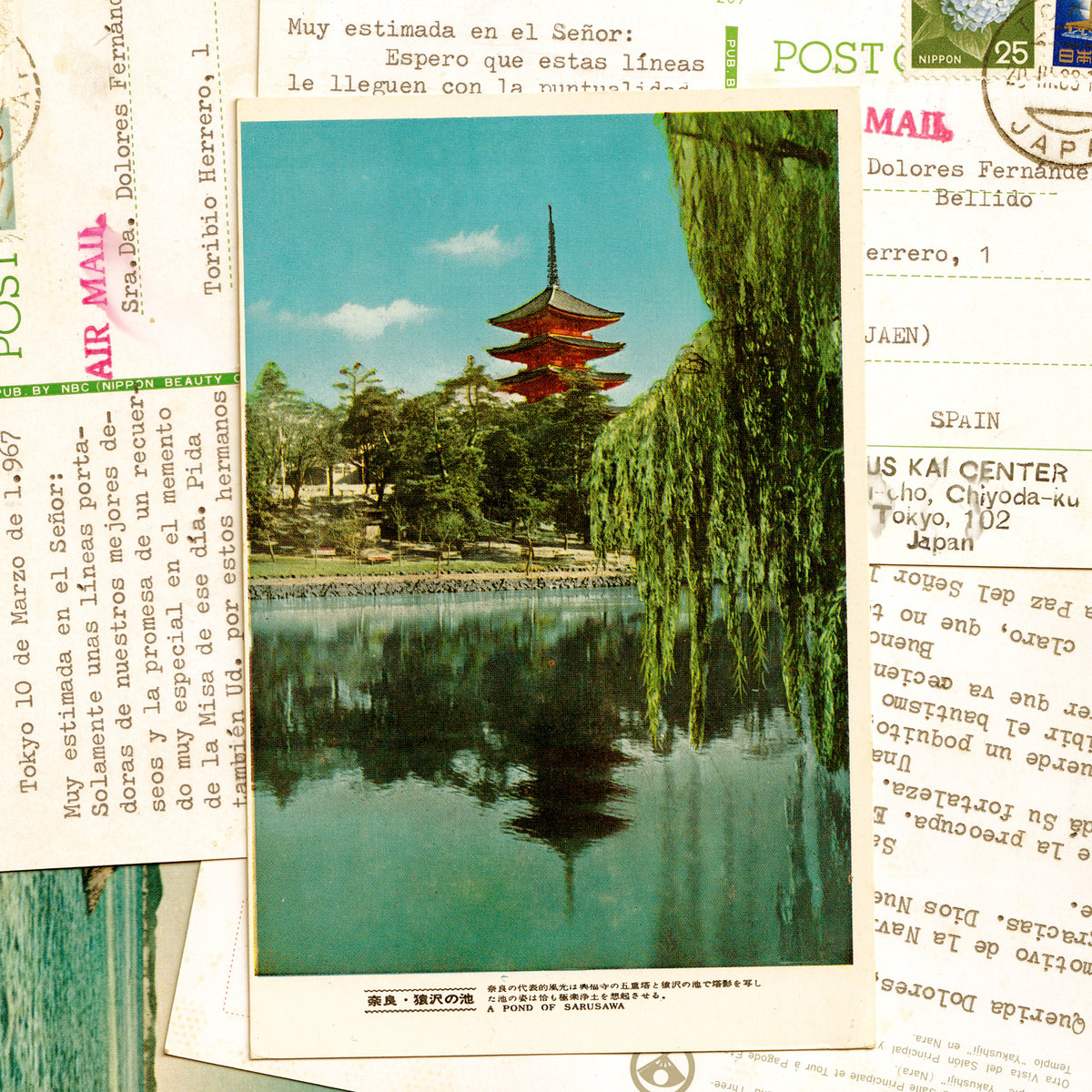 Análisis de 'Llámame por tu nombre' y el mito de Narciso | TikTok, image size:1200x1200