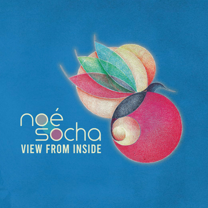 Pochette de View from Inside par Noe Socha