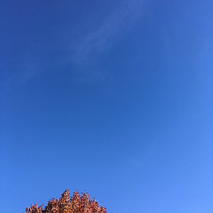 Looking at the Stars cover