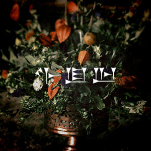 NyniasPicore cover