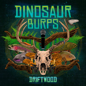 Driftwood cover