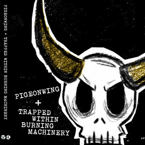 Split w/ Pigeonwing cover