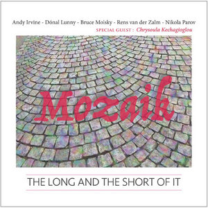 The Long And The Short Of ItMozaik cover