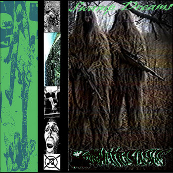 Swamp Dreams
