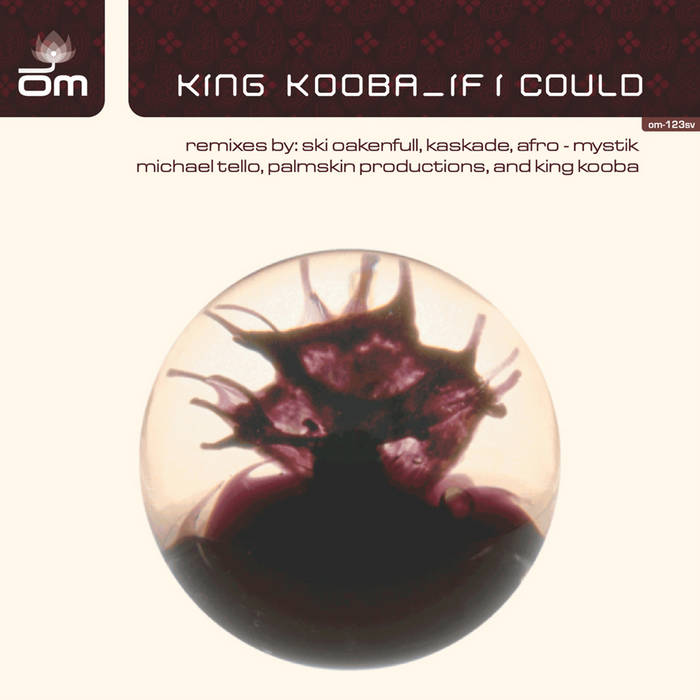 King Kooba - If I Could 12インチレコード If I Could (Kaskade's More Pop Mix) | King Kooba